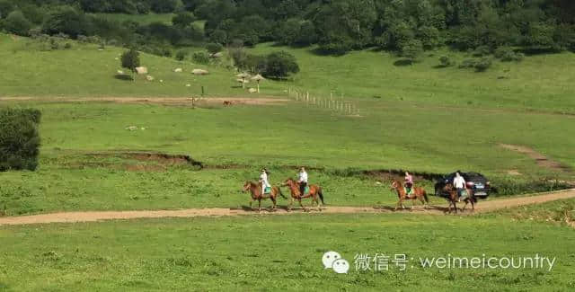 关山牧场 魅力光影