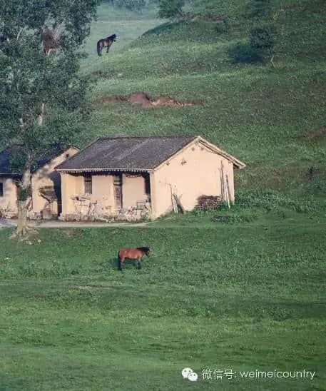 关山牧场 魅力光影