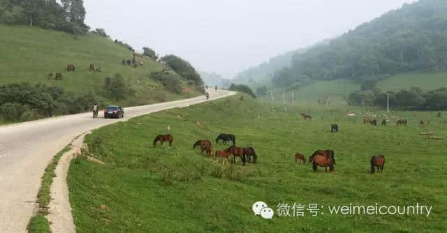 关山牧场 魅力光影