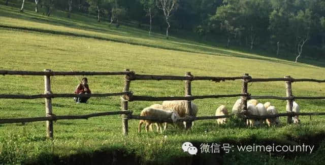 关山牧场 魅力光影