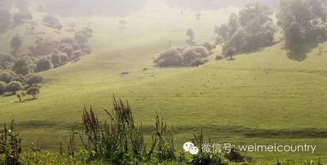 关山牧场 魅力光影