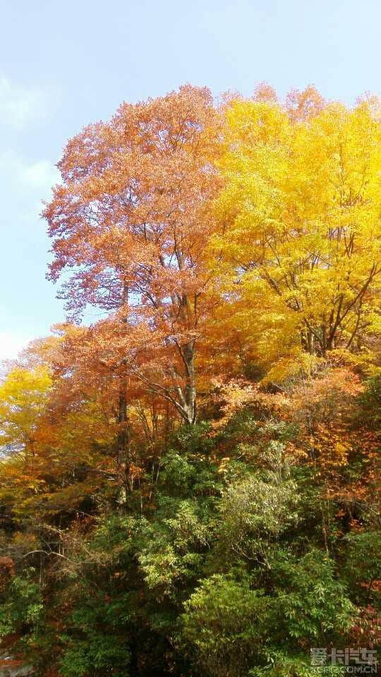 2014年光雾山红叶节全攻略（交通、住宿、自驾、门票、景点、