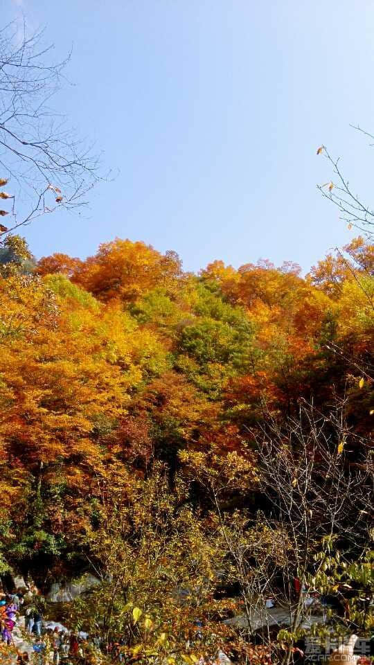 2014年光雾山红叶节全攻略（交通、住宿、自驾、门票、景点、