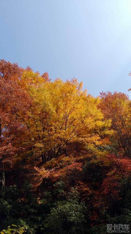 2014年光雾山红叶节全攻略（交通、住宿、自驾、门票、景点、