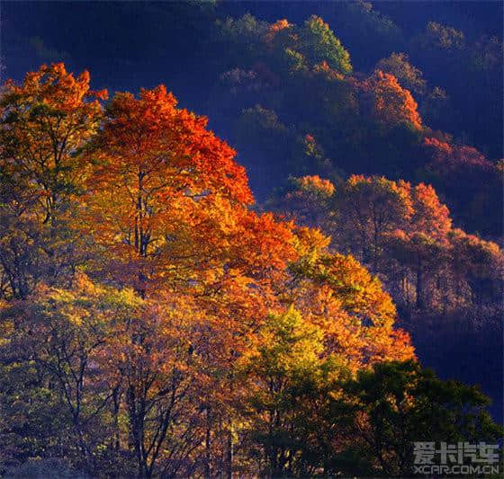 2014年光雾山红叶节全攻略（交通、住宿、自驾、门票、景点、