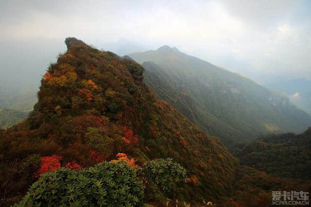 2014年光雾山红叶节全攻略（交通、住宿、自驾、门票、景点、