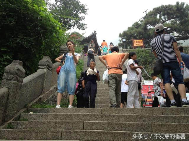 最详细的泰山旅游攻略，从乘车到登山路线均有介绍