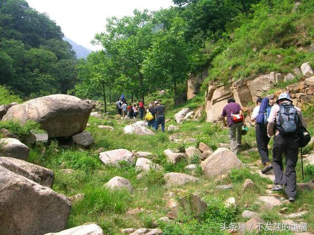 最详细的泰山旅游攻略，从乘车到登山路线均有介绍