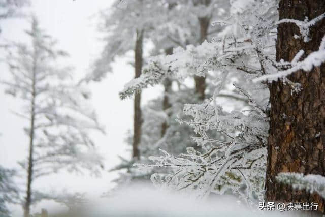 别找了！你想看的西岭雪山都在这了！