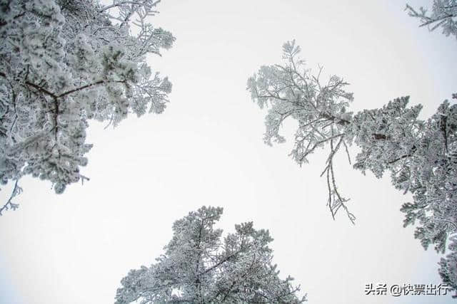 别找了！你想看的西岭雪山都在这了！