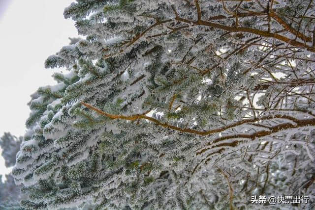 别找了！你想看的西岭雪山都在这了！