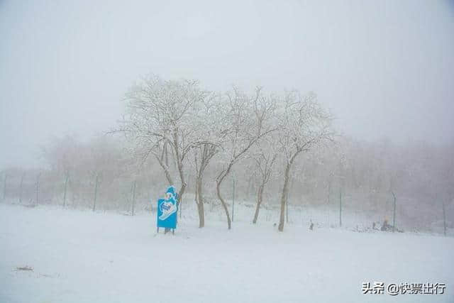 别找了！你想看的西岭雪山都在这了！