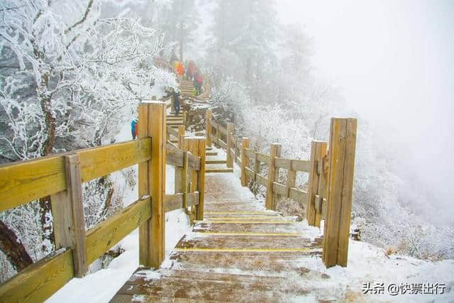 别找了！你想看的西岭雪山都在这了！