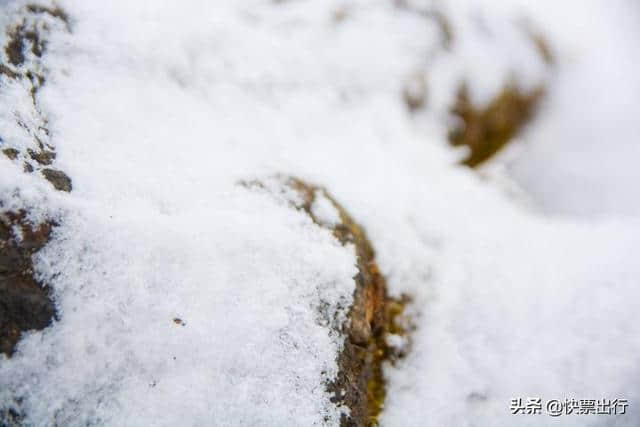 别找了！你想看的西岭雪山都在这了！