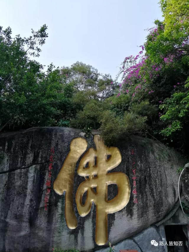 想去厦门旅游的朋友千万要注意了