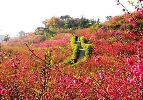 广东旅游 西樵山