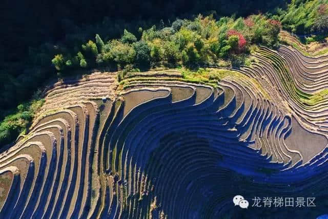 推荐｜冬季到龙胜看梯田，静美如画！