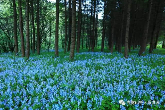 2019避暑天堂——光雾山旅游攻略