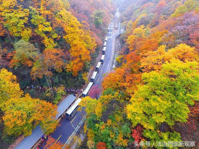 相约光雾山 共享红叶情