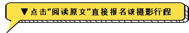 泪奔！去一趟南极居然这么贵！