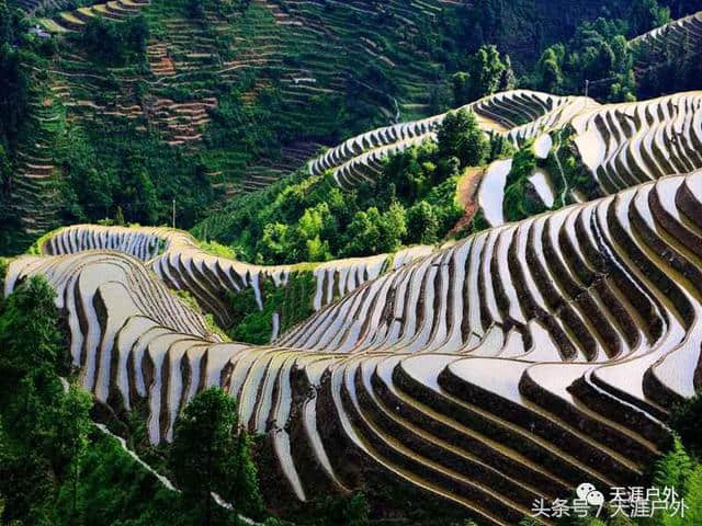 龙胜梯田这样玩，一年只能玩一次，此刻大家已不满足于只看风景了