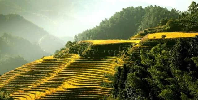 9月最佳旅行地推荐：龙脊梯田