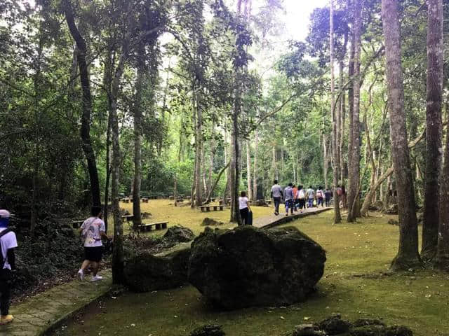 城事｜湖南电视台金鹰卡通《童趣大冒险》取景龙虎山！