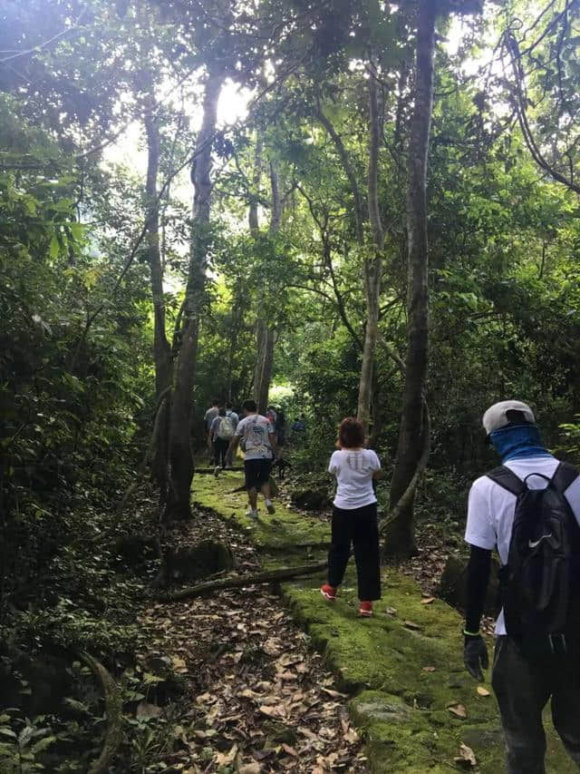 城事｜湖南电视台金鹰卡通《童趣大冒险》取景龙虎山！