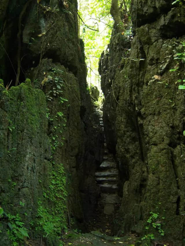 城事｜湖南电视台金鹰卡通《童趣大冒险》取景龙虎山！