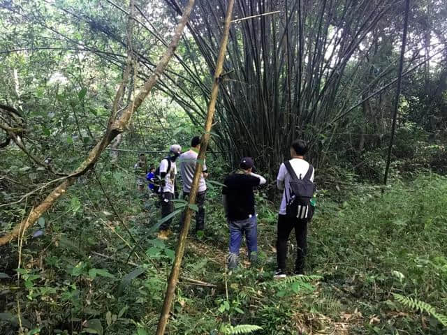 城事｜湖南电视台金鹰卡通《童趣大冒险》取景龙虎山！