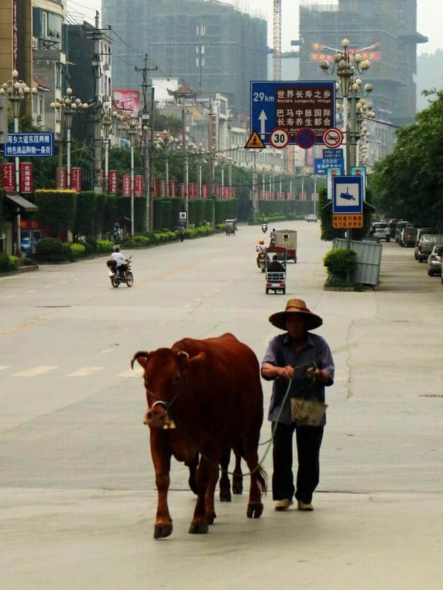 广西巴马行一一生命探秘之旅