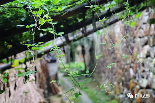 古村听雨，邂逅一段慢时光