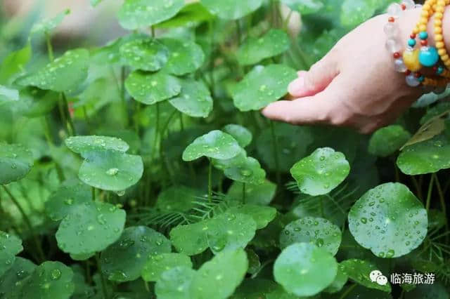 古村听雨，邂逅一段慢时光