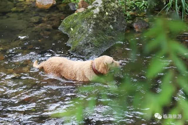 古村听雨，邂逅一段慢时光