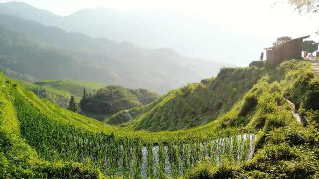 自驾游｜桂林龙胜龙脊梯田，住山顶看日出