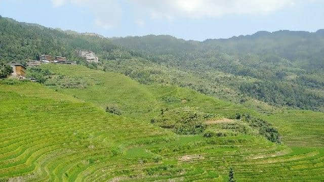 自驾游｜桂林龙胜龙脊梯田，住山顶看日出