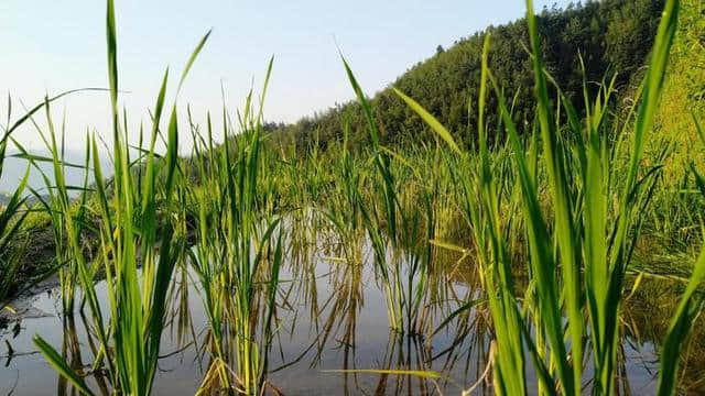 自驾游｜桂林龙胜龙脊梯田，住山顶看日出