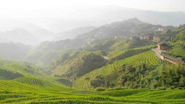 自驾游｜桂林龙胜龙脊梯田，住山顶看日出