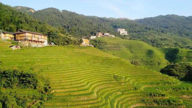 自驾游｜桂林龙胜龙脊梯田，住山顶看日出