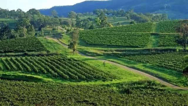 澳洲旅游去哪玩？澳洲旅游必去的那些景点