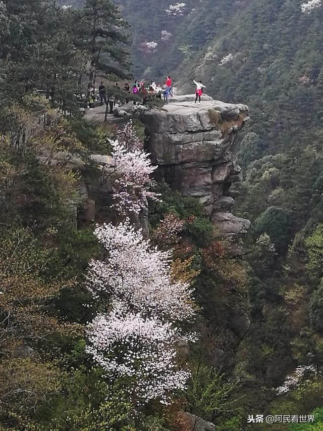 江西南昌出发，庐山精华2日游，花费才600块钱左右