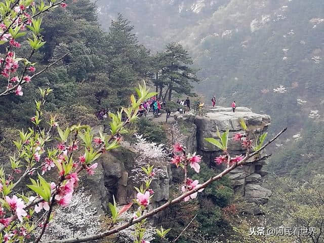 江西南昌出发，庐山精华2日游，花费才600块钱左右