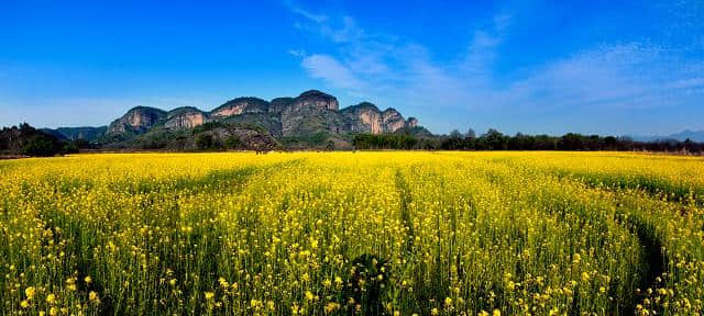 当龙虎山“郁”见花香，门票免费送！