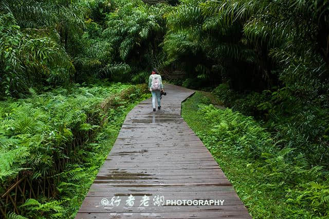 客家第一神山 — 冠豸山