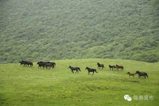 十天高速甘肃段已通车 国庆陇南旅游全攻略 9个地方9种秋天