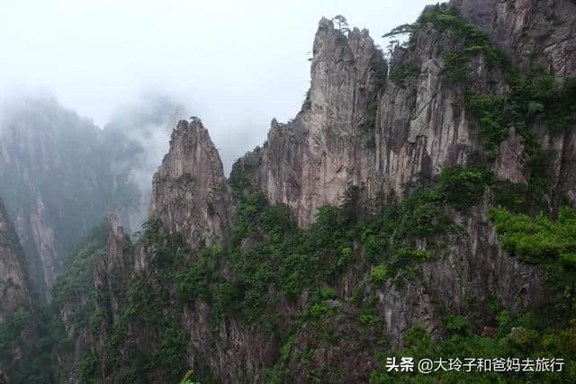 来黄山旅游越来越贵了，想去的要趁早