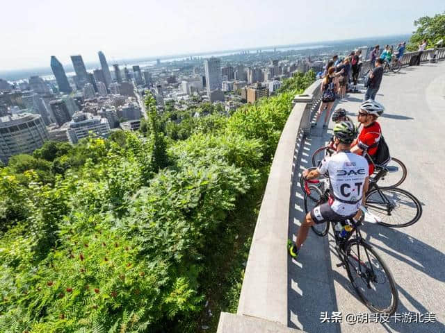 加拿大旅游必去打卡地（一）：蒙特利尔皇家山