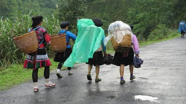 龙胜&amp;阳朔，游山玩水观梯田