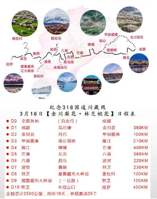 纪念318国道，新景线旅行社推出林芝拉萨桃花赏花线路