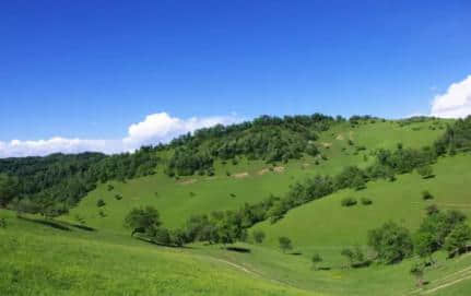 十一假期，旅游好去处——关山牧场！